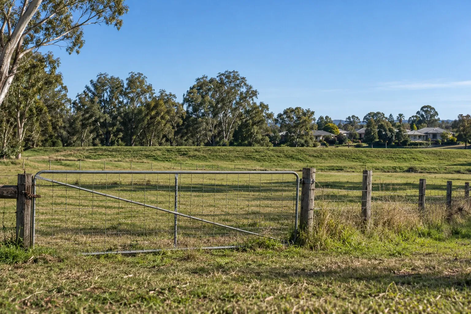 Fencing on flood-prone land, Maitland: an open post and wire fence and farm gate across flat river flats